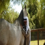 Mishary rashid al afasy